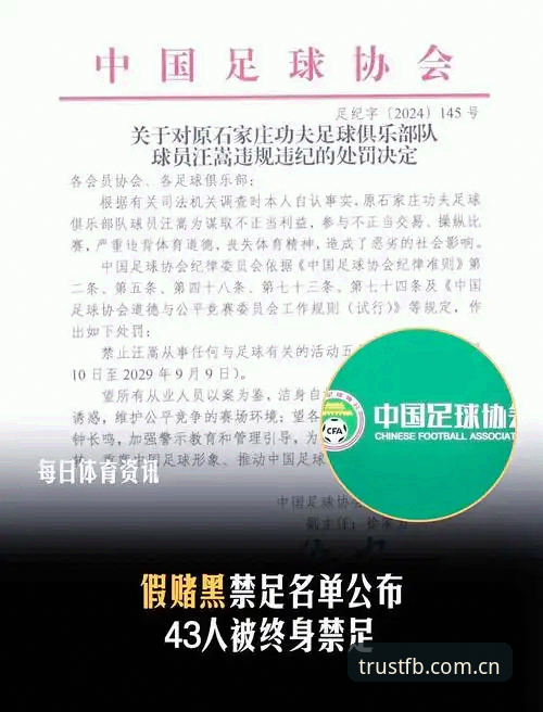 足协禁足名单与FB体育平台体验：传统足球乱象vs现代体育平台正规性对比
